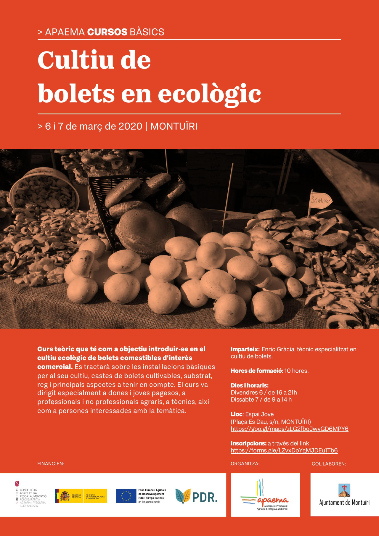 Curs bàsic de cultiu de bolets en ecològic